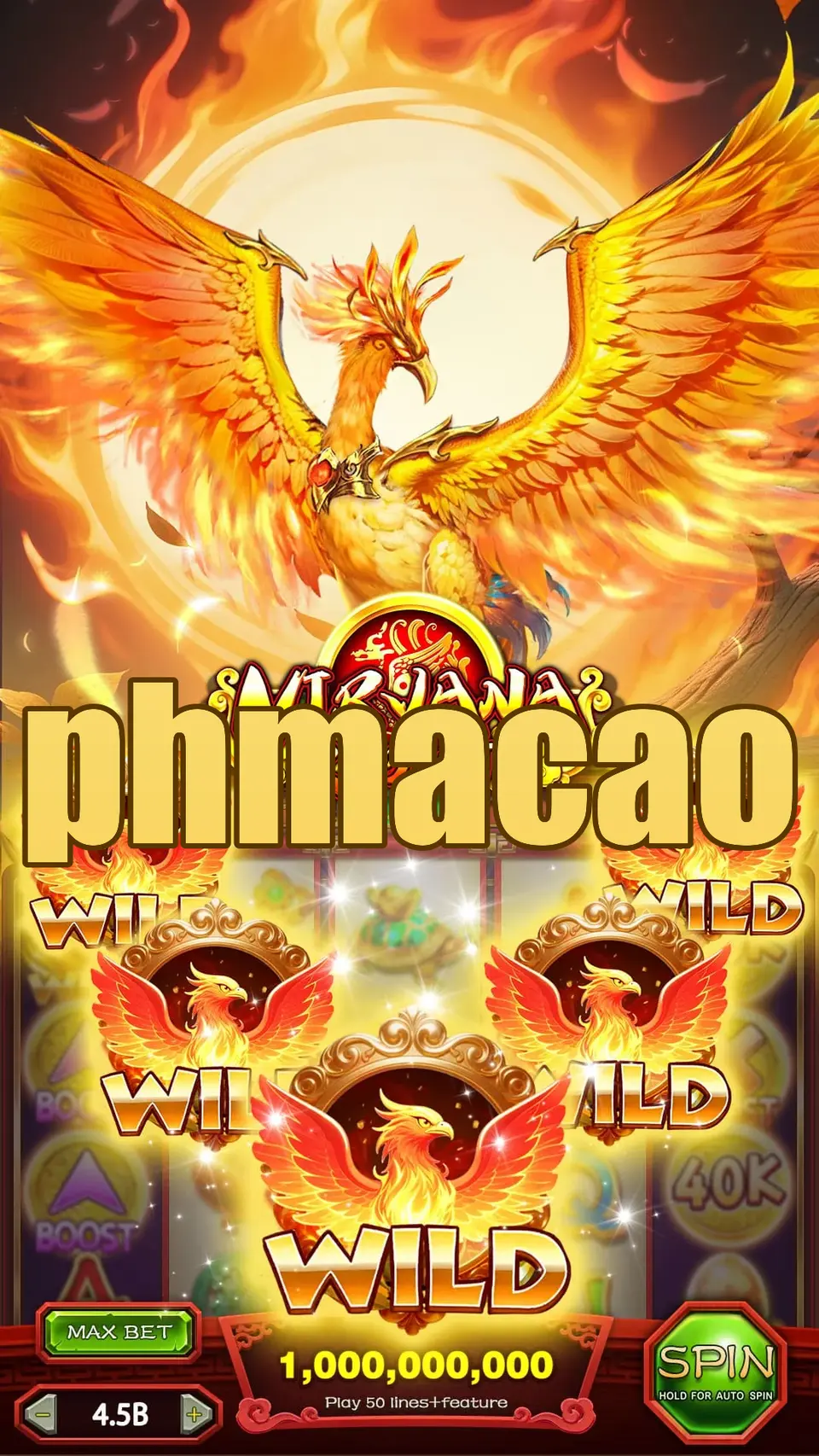 phmacao Mag-login